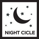 Night Cicle